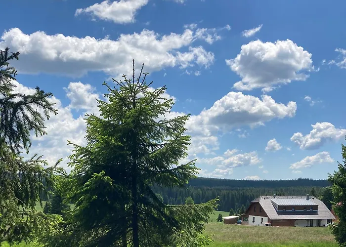 Casa de hóspedes V Chalupě Nad Modravou Modrava