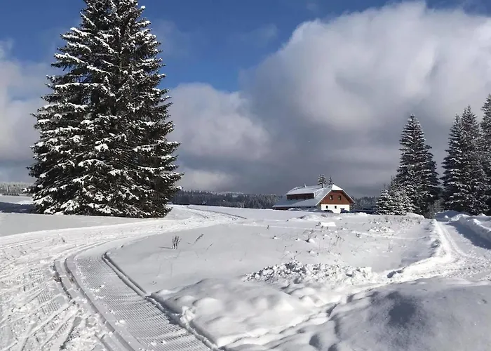 V Chalupě Nad Modravou Casa de hóspedes