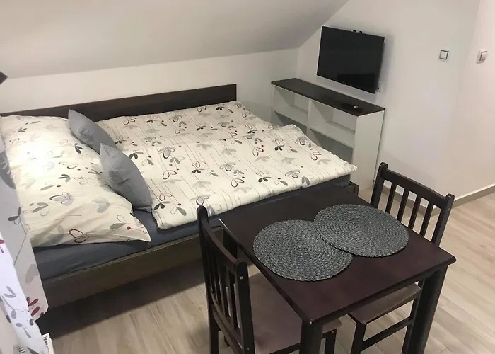 Casa de hóspedes V Chalupě Nad Modravou